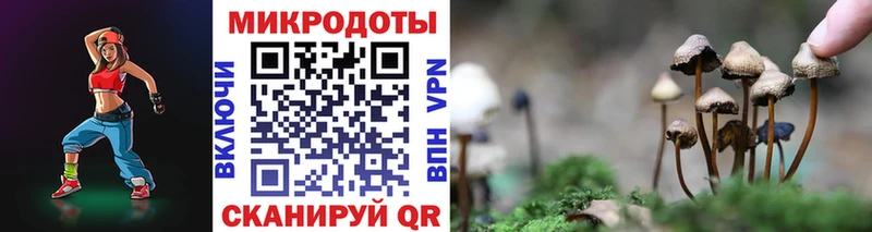 Купить закладки Заинск Псилоцибиновые грибы прущие грибы